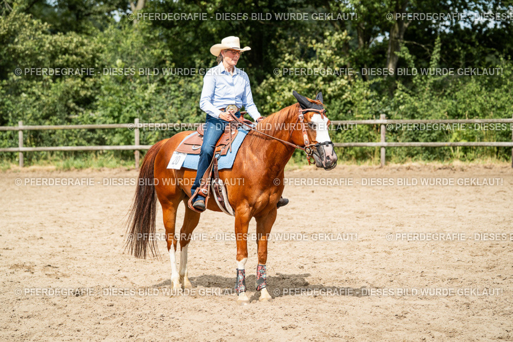 DSC02388 | Pferdegrafie