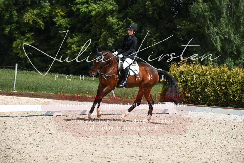 20230518_JK-Röhrsdorf-11-0491 | Pferde- und Turnierfotografie in Westsachsen. Pferdeportraits, Auftragszeichnungen und intuitive Kunst.