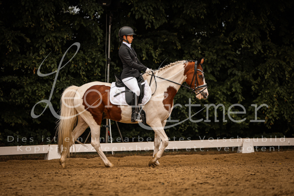 DoDrE00205 | Leoni Ertmer Photography - Realisiert mit Pictrs.com