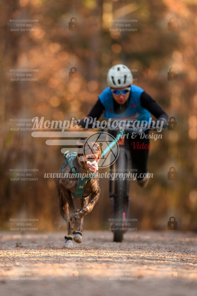 MompixPhotography_DM_AKDM_SO_2025_Scooter-144 | PayLife