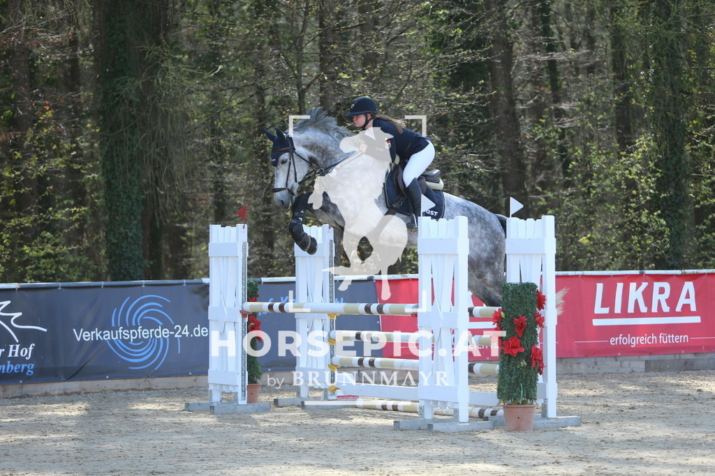 DL2Q0448 | Willkommen bei Brunnmayr - Design & Fotografie – Ihrem Spezialisten für Reitturniere und Pferdeveranstaltungen in Oberösterreich, Salzburg und Bayern! Seit über 17 Jahren sind wir leidenschaftlich dabei.