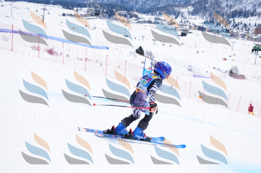 DSC_1721 | holidayphoto