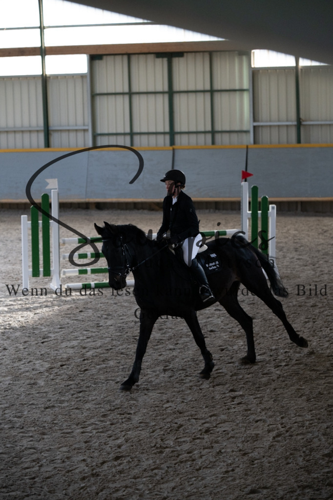 A7V01761 | Pferdefotograf