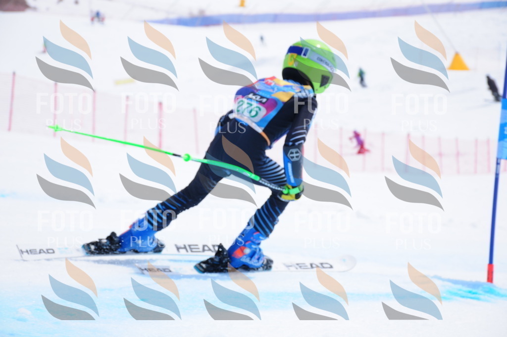 DSC_2659 | holidayphoto