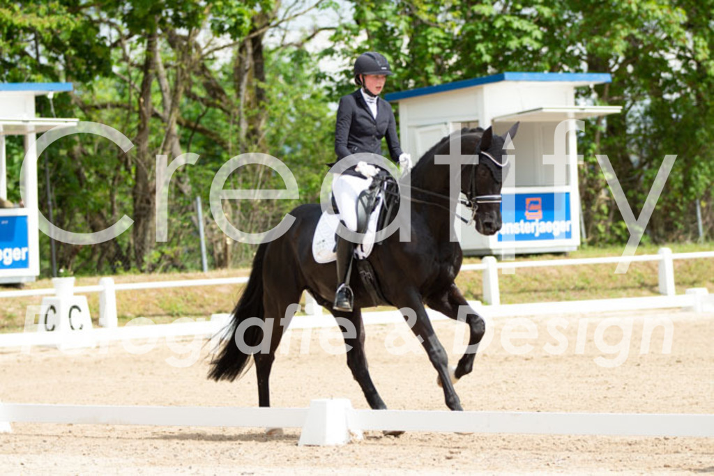 IMG_6641 | Creatify Fotografie