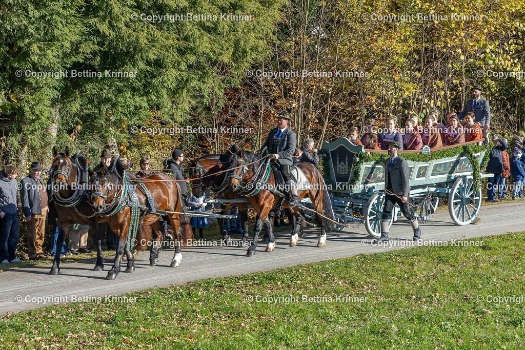 LBT25-313 | foto-bettina-krinner - Realisiert mit Pictrs.com