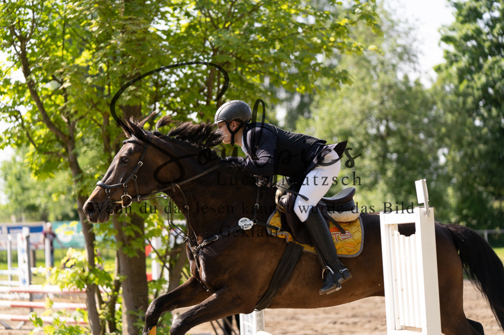 A7507276 | Turnier/Reitfotograf