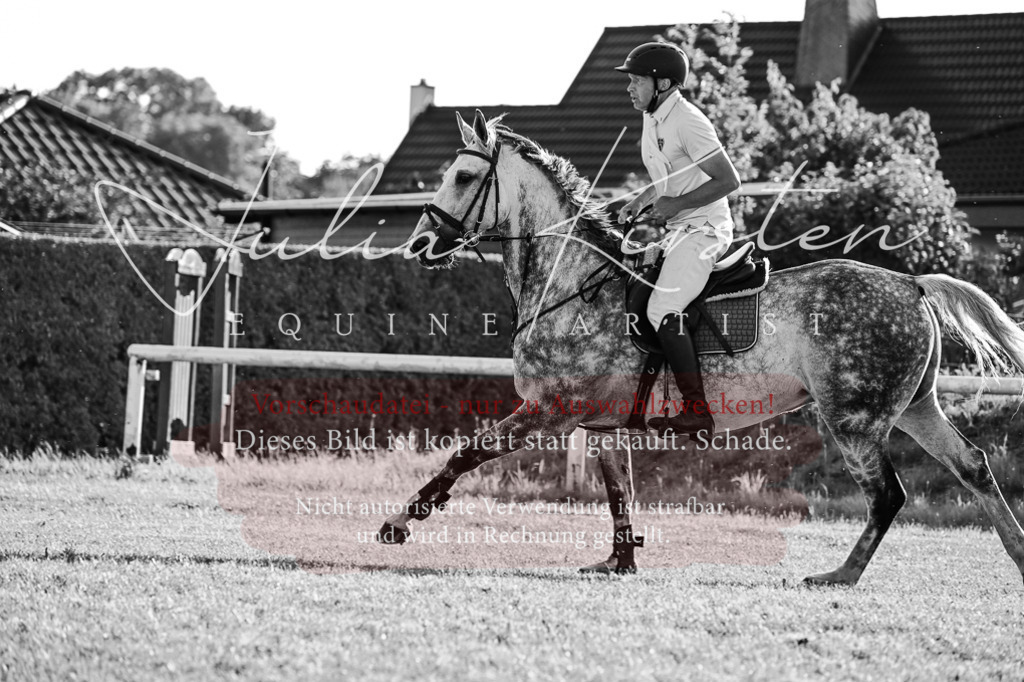 DSC_3157 | Pferde- und Turnierfotografie in Westsachsen. Pferdeportraits, Auftragszeichnungen und intuitive Kunst.