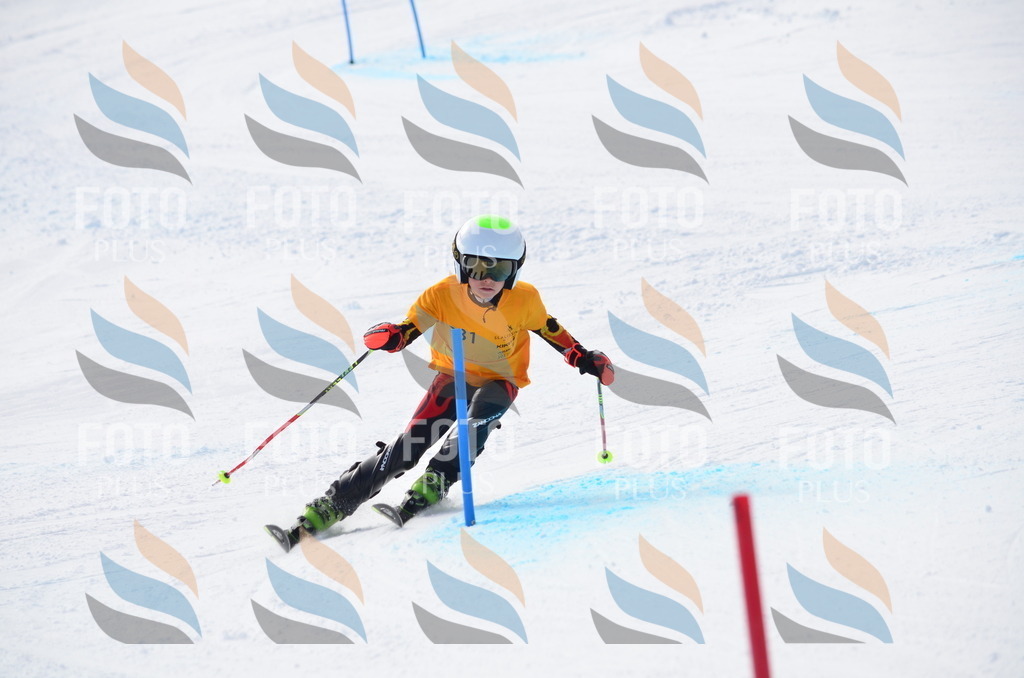 C8309 | holidayphoto