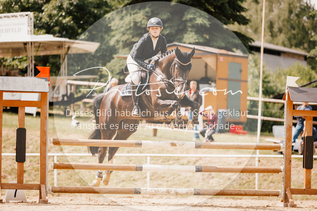 3I6A2336 | Stimmungsvolle Portraits und Reitsportfotografie im Ruhrgebiet und im Münsterland.

Pferdefotografie, Hundefotografie, Tierfotografie, Reportagen, Portraits von Tier und Mensch, Turnierfotografie in Bochum, Recklinghausen, Marl, Haltern am See, Dülmen.. - Realisiert mit Pictrs.com