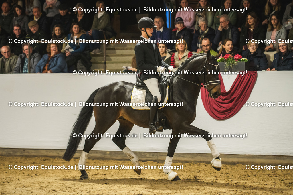 20240302_Hengstvorstellung_Marbach_TOMsPiC_0428 | equistock