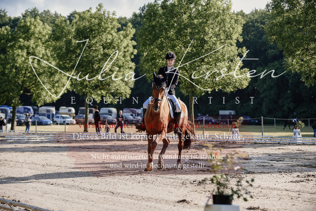DSC_7701 | Pferde- und Turnierfotografie in Westsachsen. Pferdeportraits, Auftragszeichnungen und intuitive Kunst.