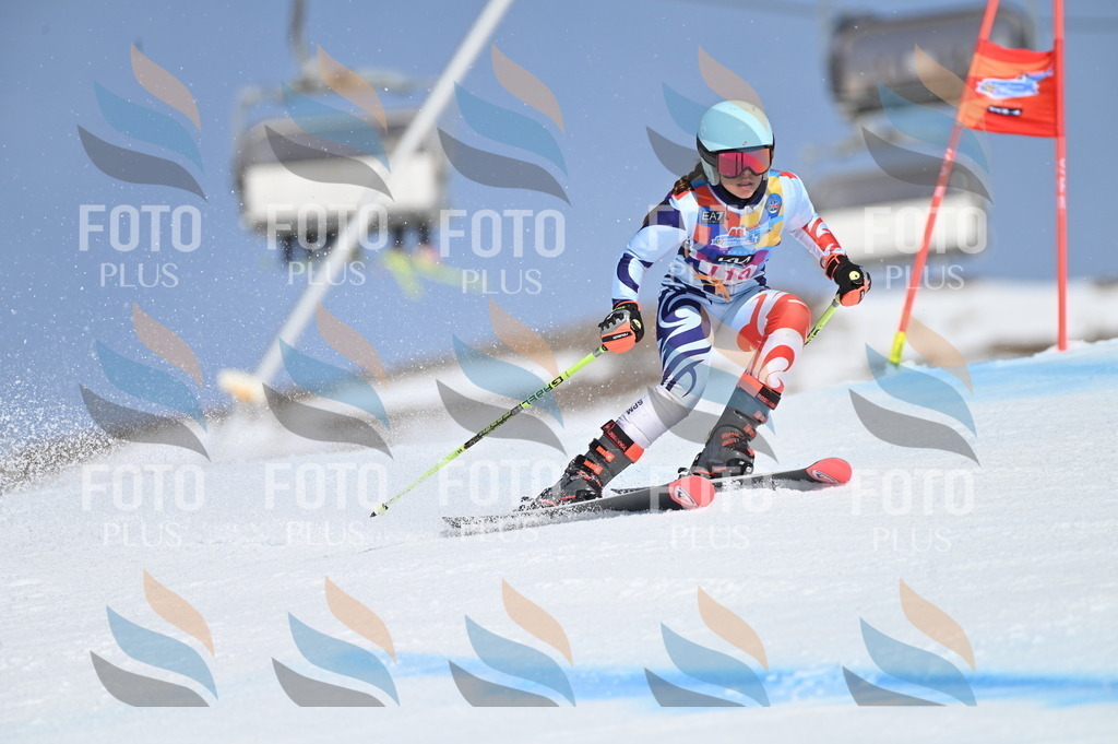 BGV_9788 | holidayphoto