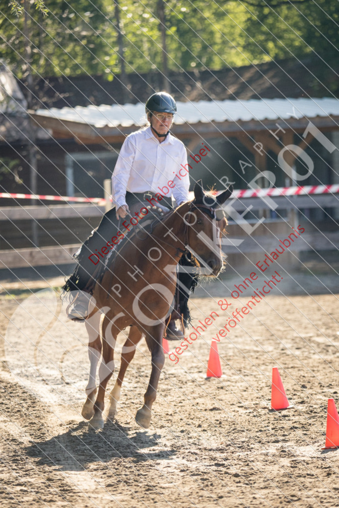 IMG_6336 | Sport-, Event- und Tierfotos in Profiqualität. Einfach auswählen, bestellen und herunterladen. Dein Moment – perfekt festgehalten.