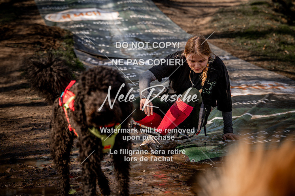 nelerasche_Hulsbeek_So1030-1100_324 | nelerasche