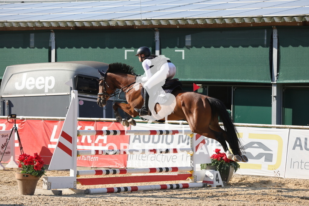 0P6A2057 | Willkommen bei Brunnmayr - Design & Fotografie – Ihrem Spezialisten für Reitturniere und Pferdeveranstaltungen in Oberösterreich, Salzburg und Bayern! Seit über 17 Jahren sind wir leidenschaftlich dabei.