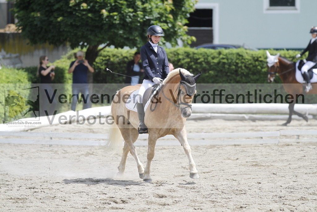 _MG_8548 | equestrian-live-com