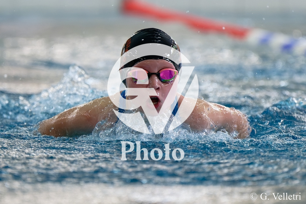 DSC_9592 | Velletri Photo