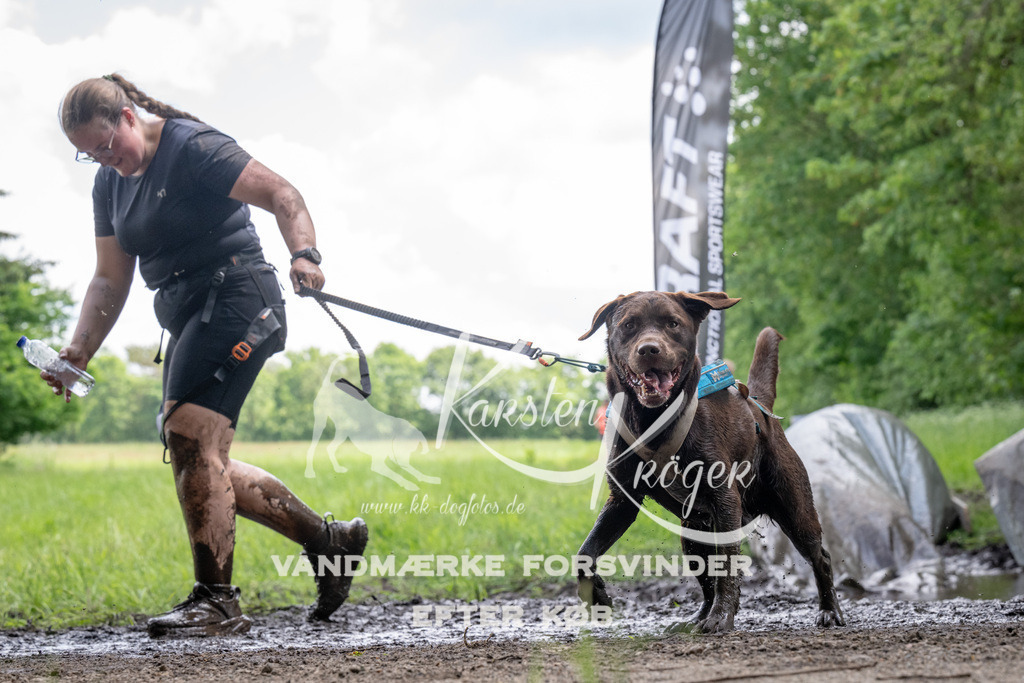 1238_ZZ92757 | kk-dogfotos