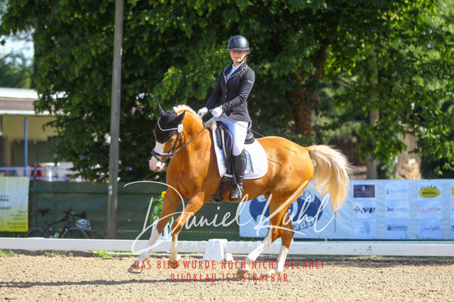 DKP42825 | Turnierfotos kaufen im Webshop von Daniel Kuhl Photography – entdecke professionelle Reitsportfotos aus Turnieren & Events. Hochwertige Turnierbilder online bestellen & sichern. Jetzt Fotos von Reitsportturnieren kaufen!