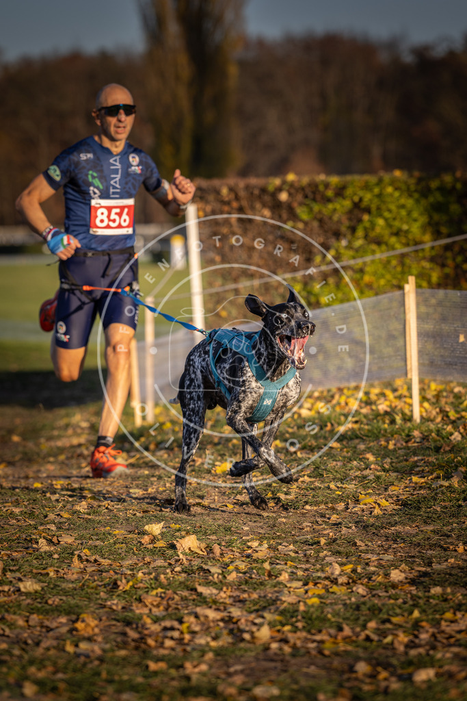 CaniXpix_DV3A3972 | Hundefotografie, Tierfotograf, Pfotenfotografie, Fotoshooting Hund, Hunde Portrait, Hundesport, Hundeportraits, Heideshooting, Hunde, Sportfotograf, Hundefotograf, Turnierhundsport, THS,  - Realisiert mit Pictrs.com