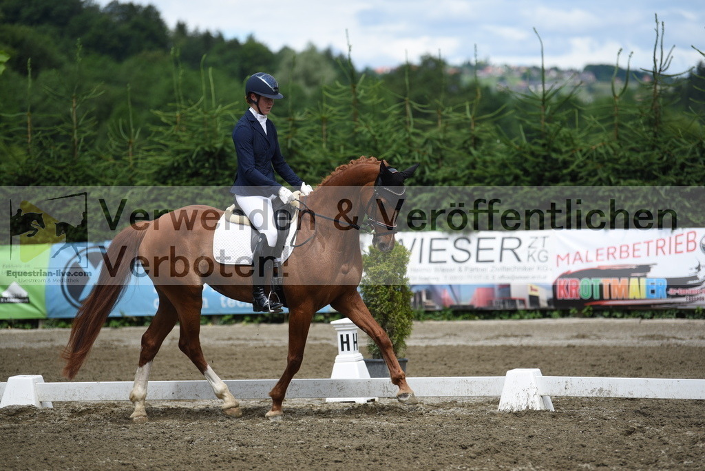 DSC_0964 | equestrian-live-com