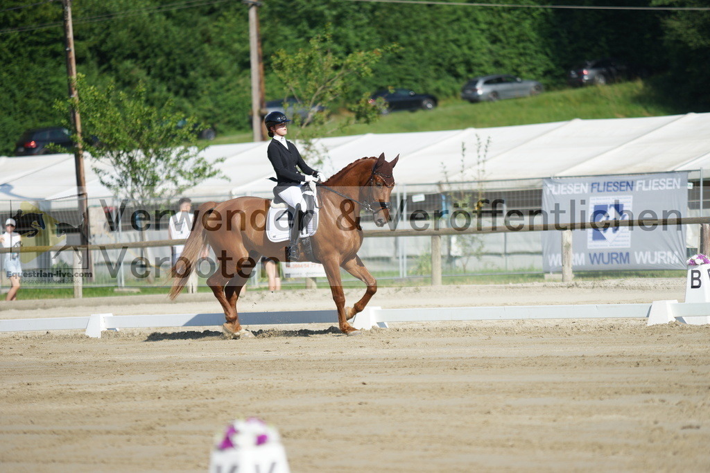 DSC03983 | equestrian-live-com