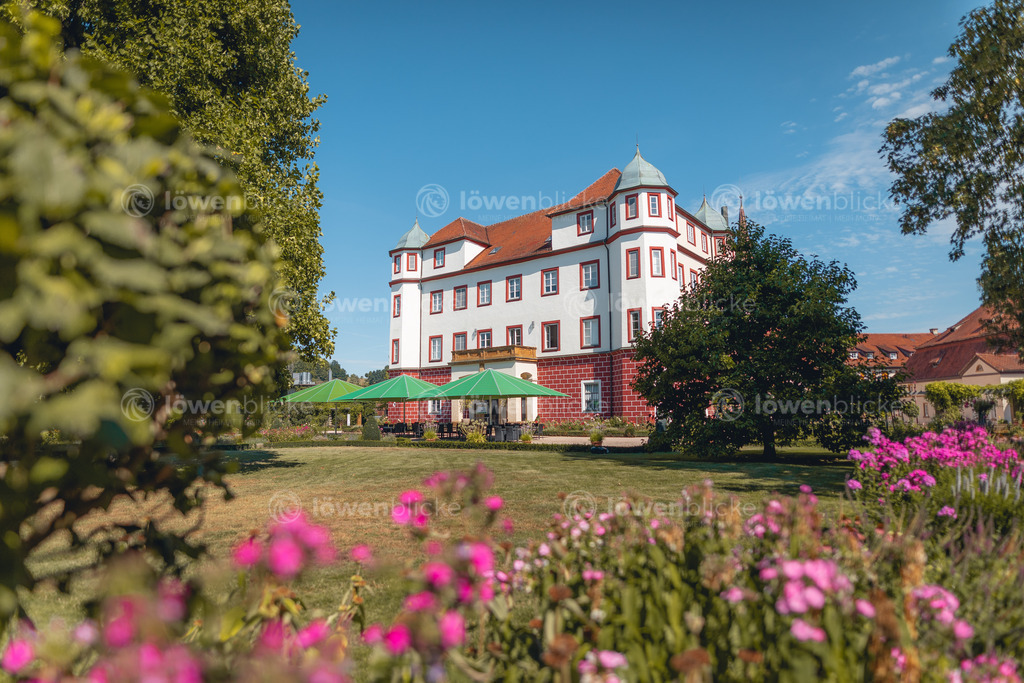 DANIEL-GIMMER-PHOTOGRAPHY_LOEWENBLICKE_0131 | löwenblicke | shop