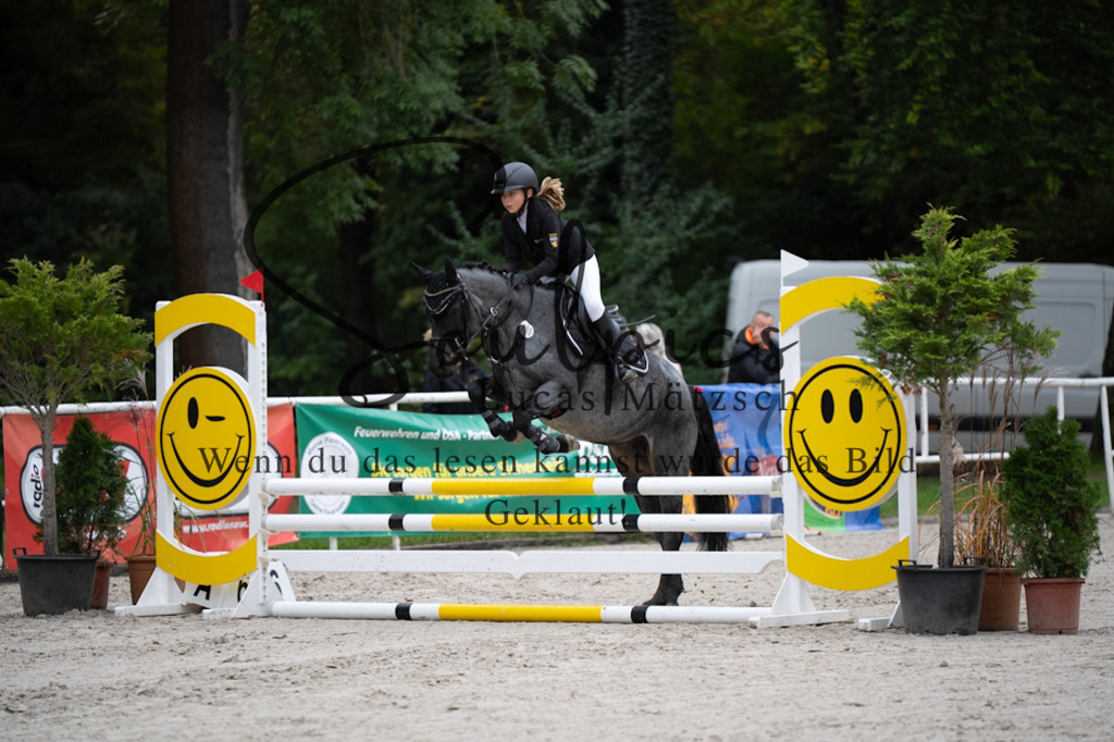 A7V08457 | Pferdefotograf