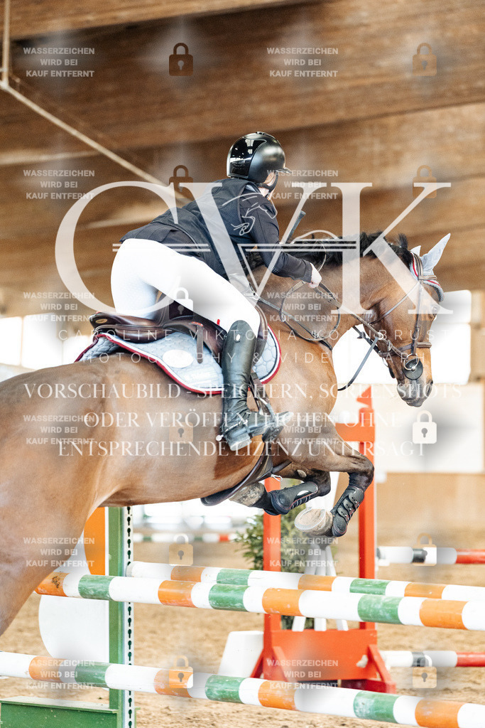CK905231 | Turnierfotografie Pferdefotografie Trier Rheinland-Pfalz Pferdesport Reitsport Tierfotografie Sportfotografie Pferdevideo Pferdevideografie Equestrianvideography equestrianphotography  - Realized with Pictrs.com