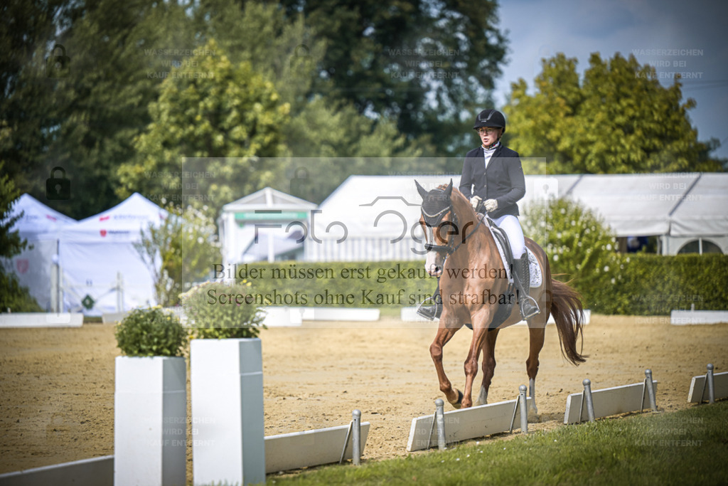 DOS_5529 | Entdecke hochwertige Reitturnierfotos von Foto Oger. Professionell, emotional und authentisch – jetzt Lieblingsmomente im Shop bestellen. - Realisiert mit Pictrs.com