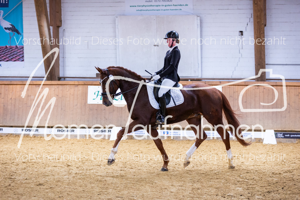 Sth-A-Dre-2St-156 | MomenTaufnahmen Pferdesportfotos