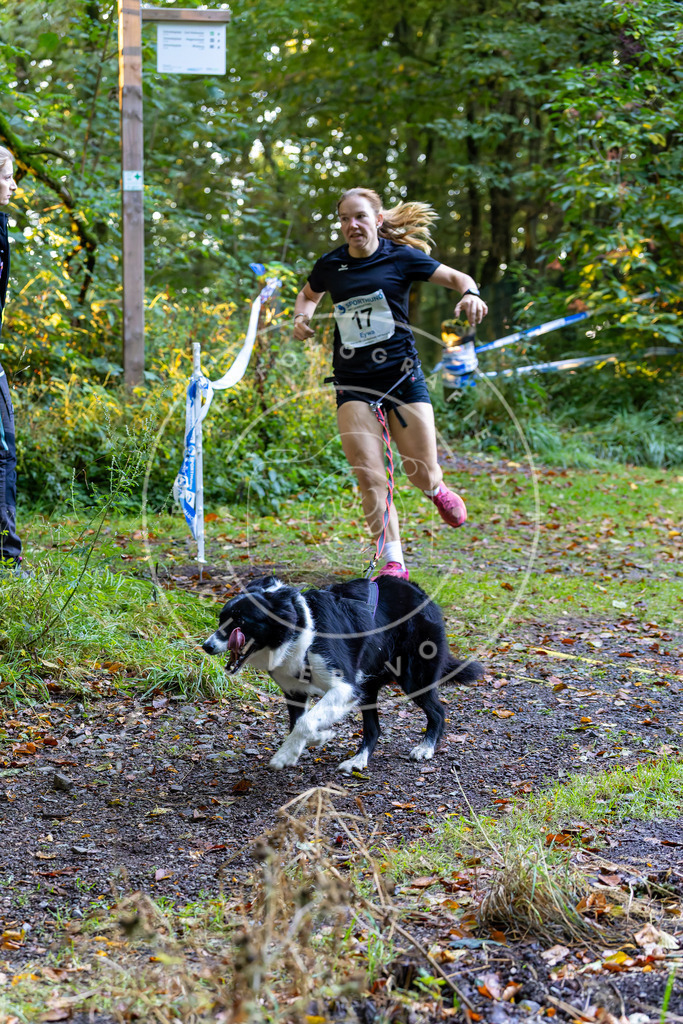 Pfotenfotografie_DV3A6408 | Hundefotografie, Tierfotograf, Pfotenfotografie, Fotoshooting Hund, Hunde Portrait, Hundesport, Hundeportraits, Heideshooting, Hunde, Sportfotograf, Hundefotograf, Turnierhundsport, THS,  - Realisiert mit Pictrs.com