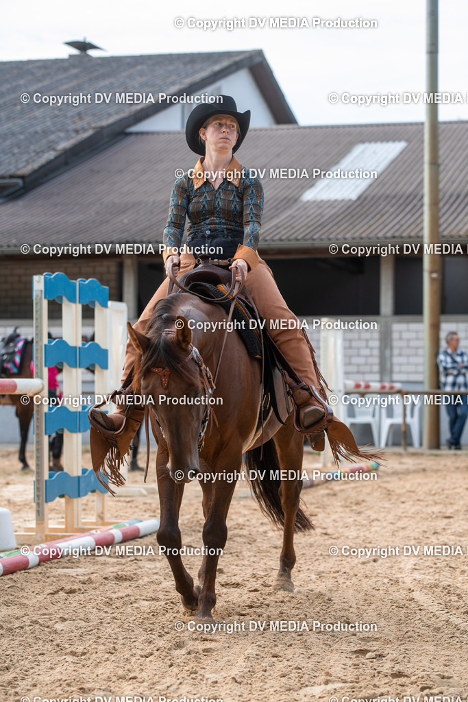 EWP_5699 | dv-media-shop - Realisiert mit Pictrs.com