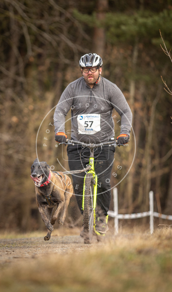 DV3A3482 | Hundefotografie, Tierfotograf, Pfotenfotografie, Fotoshooting Hund, Hunde Portrait, Hundesport, Hundeportraits, Heideshooting, Hunde, Sportfotograf, Hundefotograf, Turnierhundsport, THS,  - Realisiert mit Pictrs.com