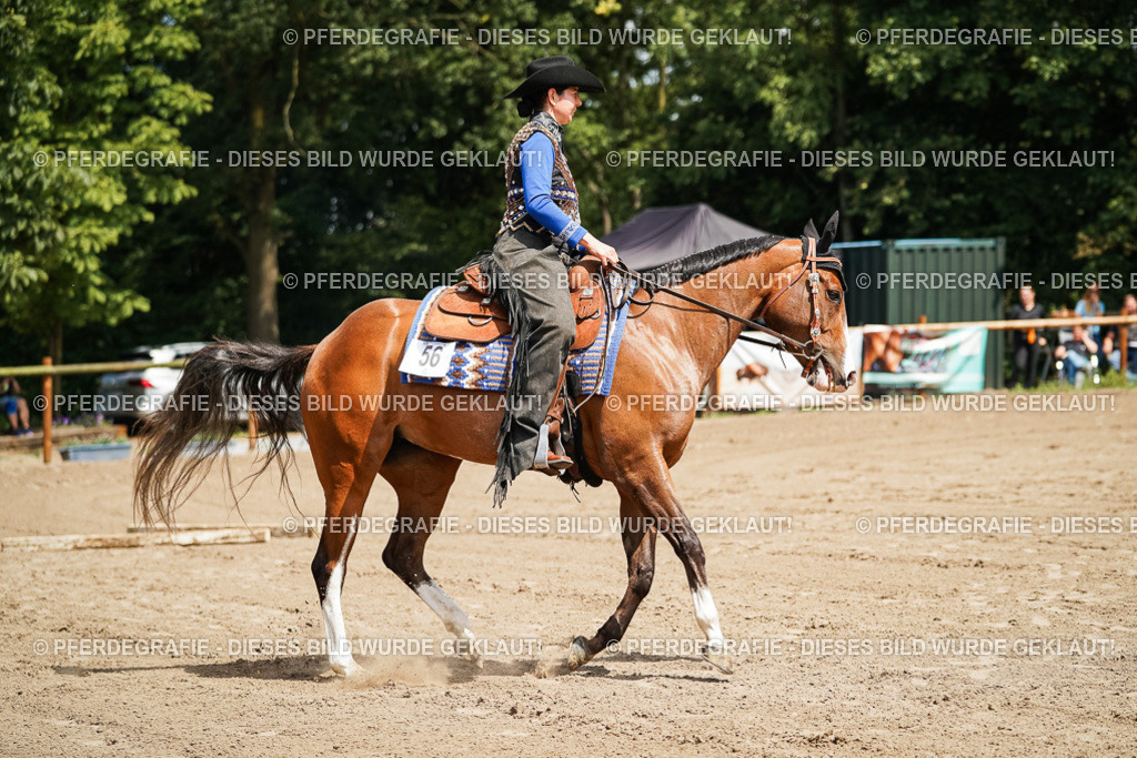 DSC06199 | Pferdegrafie