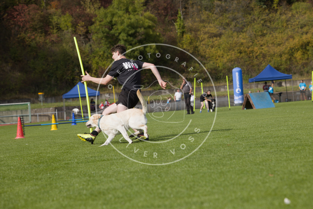 0L8A3502 | Hundefotografie, Tierfotograf, Pfotenfotografie, Fotoshooting Hund, Hunde Portrait, Hundesport, Hundeportraits, Heideshooting, Hunde, Sportfotograf, Hundefotograf, Turnierhundsport, THS,  - Realisiert mit Pictrs.com