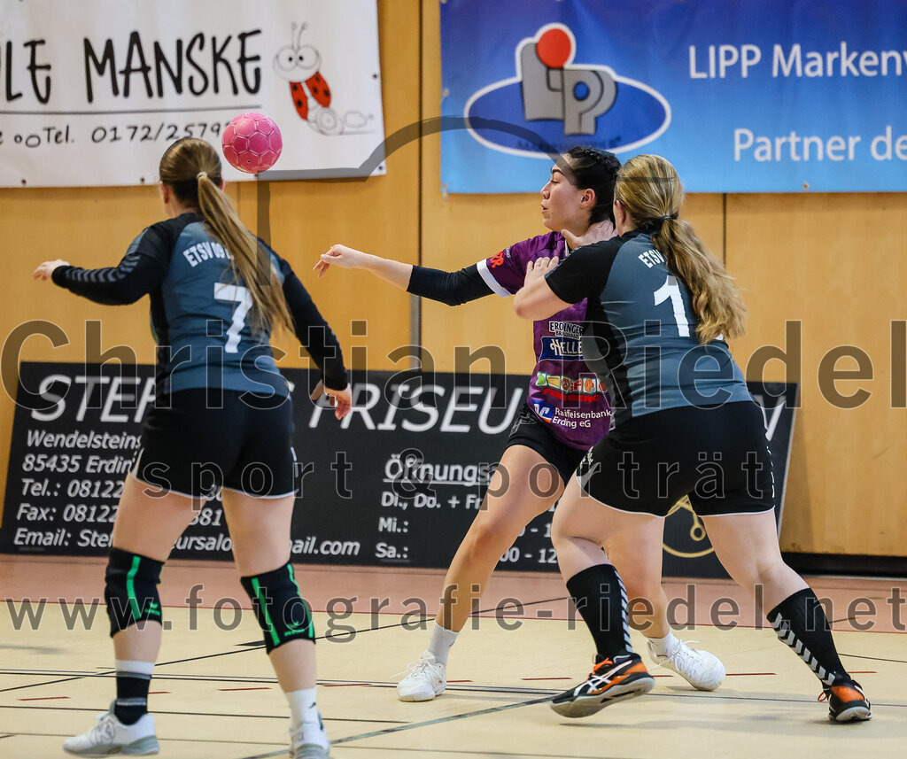 2024-03-23_035_SpVgg_Altenerding_II_gegen_ETSV_09_Landshut | Erding, Deutschland, 23.03.2024:
Handball, Bezirksliga Frauen Altbayern 2023 / 2024, 19. Spieltag, SpVgg Altenerding II gegen ETSV 09 Landshut, Endergebnis: 22:18

Nathalie Isaak (ETSV 09 Landshut, #7), Michelle Gruber (SpVgg Altenerding, #7), Tamara Neueder (ETSV 09 Landshut, #13)

Foto: Christian Riedel / fotografie-riedel.net