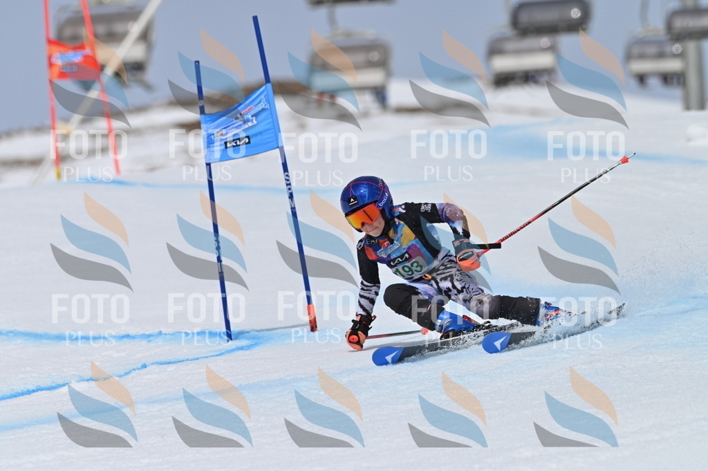 BGV_3715 | holidayphoto