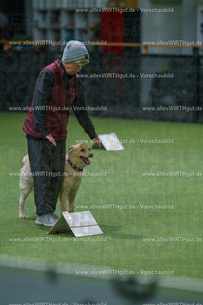 7R507976 | Professionelle Tierfotografie in Mönchengladbach von Daniel Wirth (allesWIRTHgut). Liebevolle & natürliche Bilder von Hunden & Katzen für unvergessliche Erinnerungen.