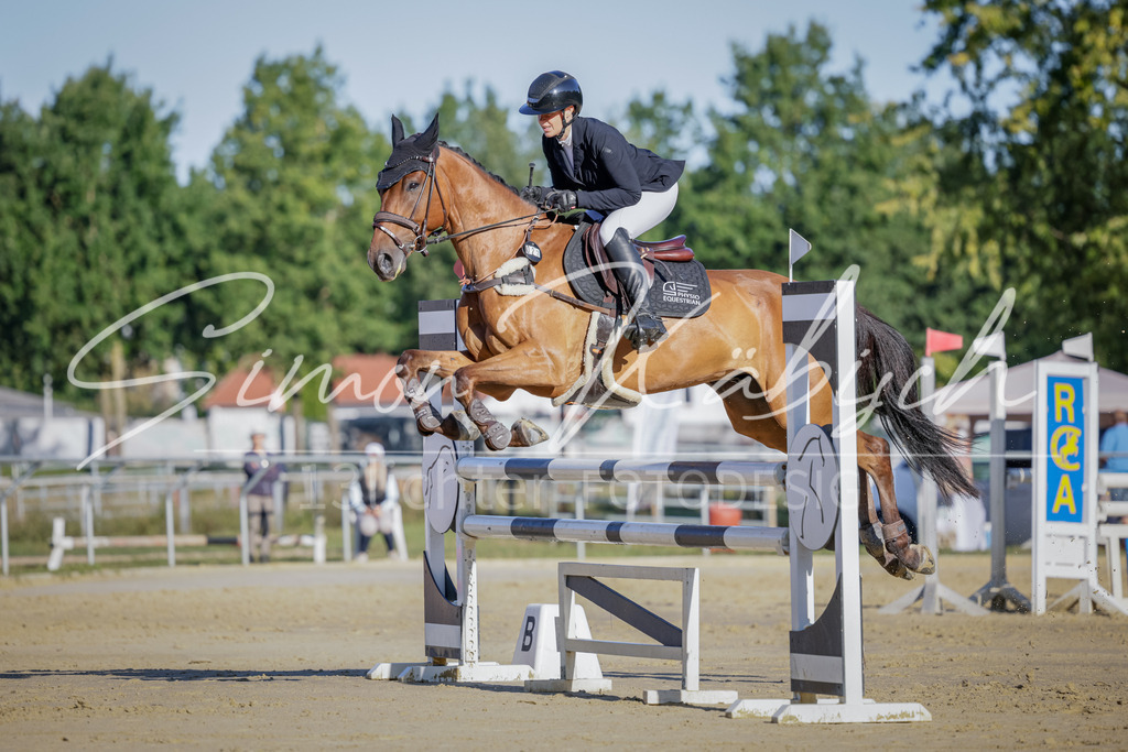 20250906-_3LI3070 | Tierfotografie Pferde, Hunde, Katzen, Haustiere.
Turnierfotografie Reitturniere, Reiten, Springreiten, Dressur in Hanau, dem Main-Kinzig-Kreis und dem Rhein-Main- Gebiet um Frankfurt