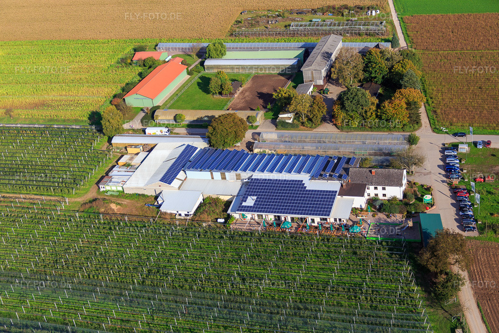 Luftbild: Zapf Hofmarkt, Obst und Spargelhof, Hofcafé Zapf in Kandel im Bundesland Rheinland-Pfalz in Deutschland. Foto: IMG_074553.jpg vom 14.10.2014 durch Werner Riehm/FLY-FOTO.deHofmarkt Zapf Kandel