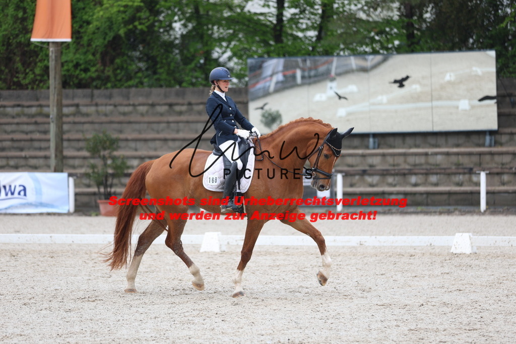 A40A8190 | lmwpictures - Realisiert mit Pictrs.com