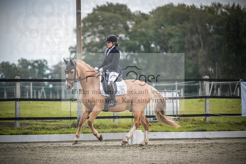 DOS_2151 | Entdecke hochwertige Reitturnierfotos von Foto Oger. Professionell, emotional und authentisch – jetzt Lieblingsmomente im Shop bestellen.Deutschlandweite Turnierfotografie. - Realisiert mit Pictrs.com