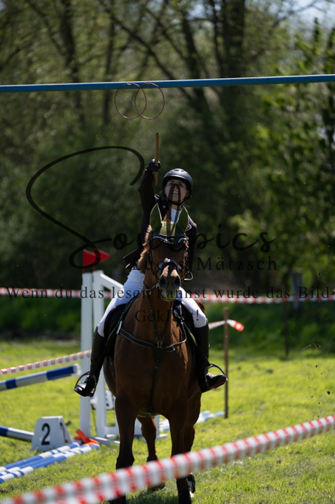 A7V01075 | Pferdefotograf