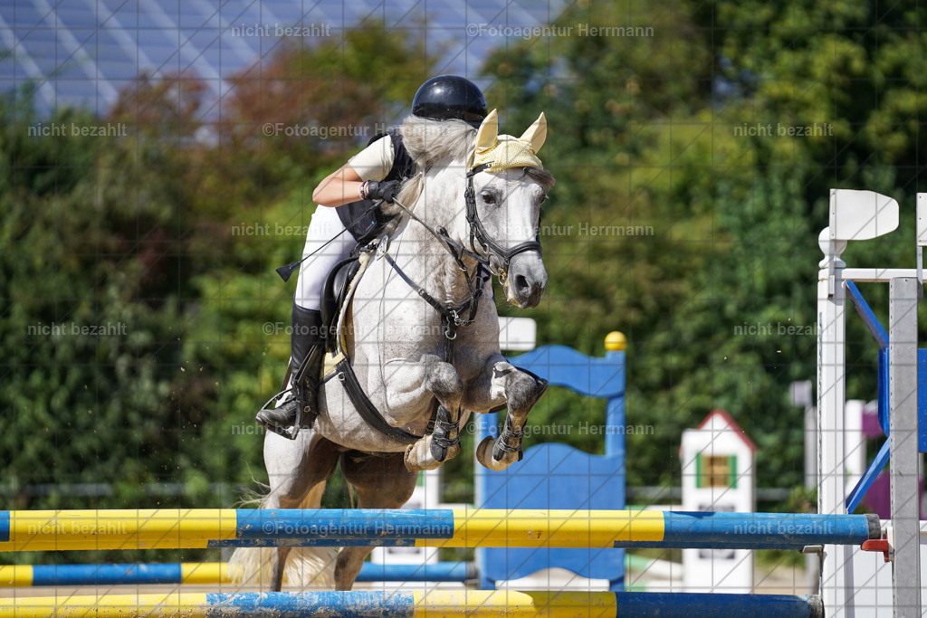 20240824-FAH08273 | Thierhaupten 2024, Bayerisches Landesponyturnier, Turnierbilder, Ponybilder, Turnierfotografen Bayern, Fotoagentur Herrmann