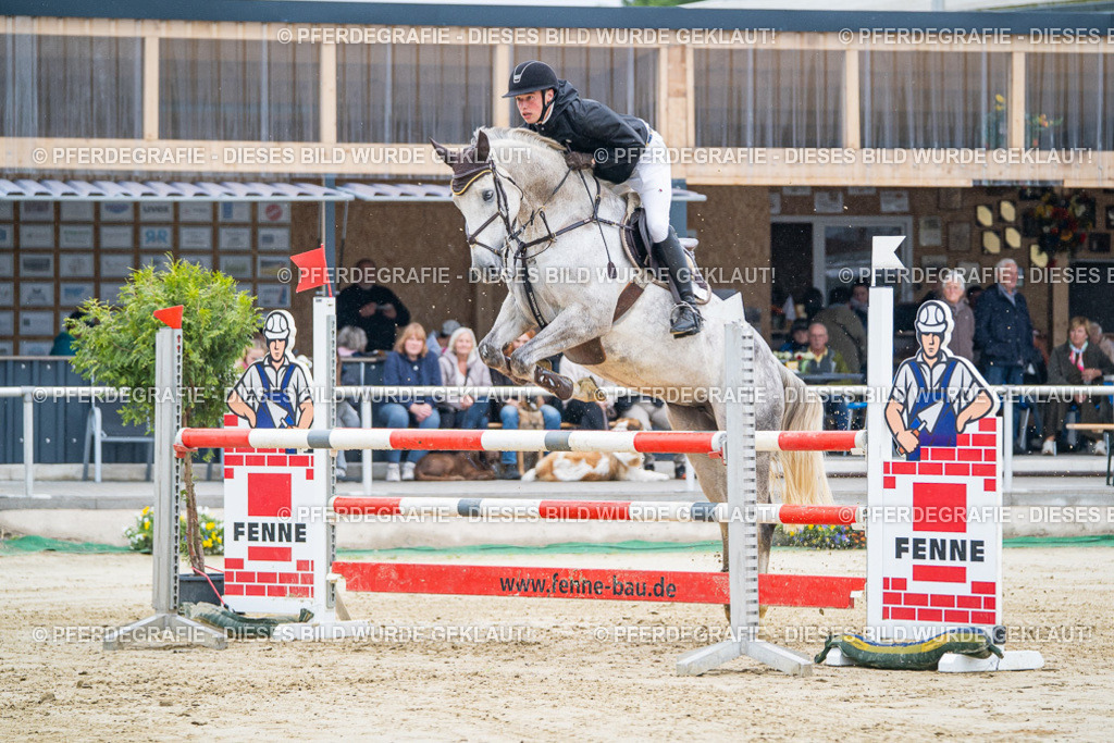 DSC01733 | Pferdegrafie