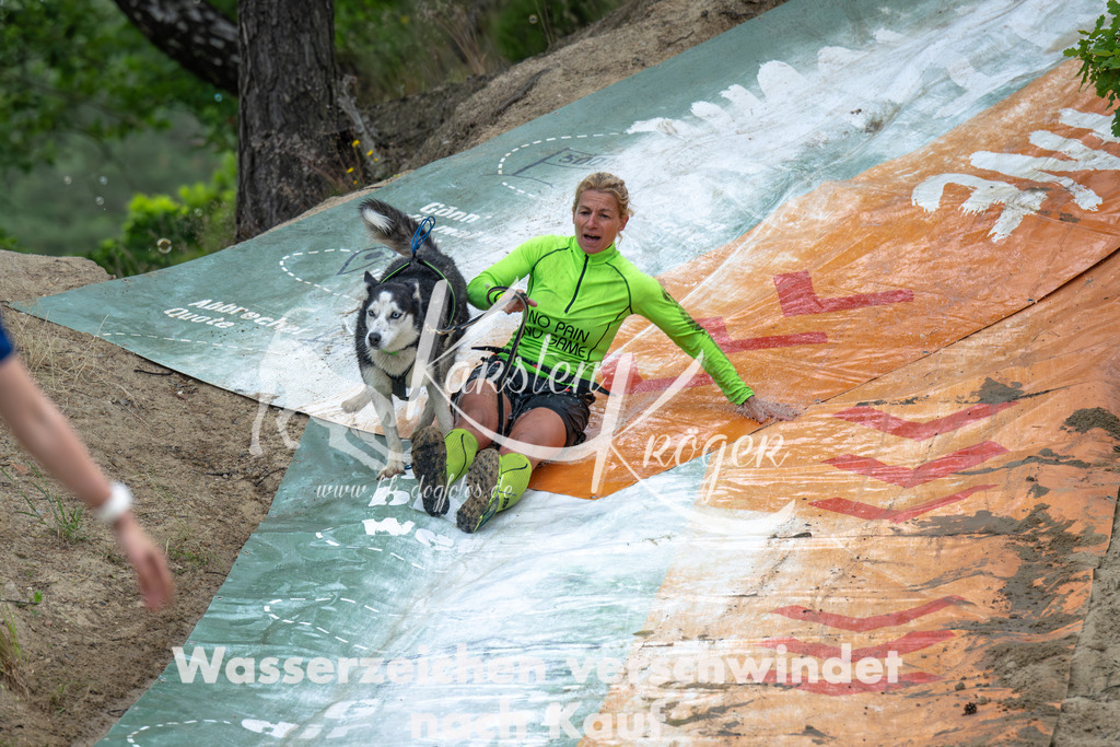 0953_ZZ91489-Verbessert-RR | kk-dogfotos