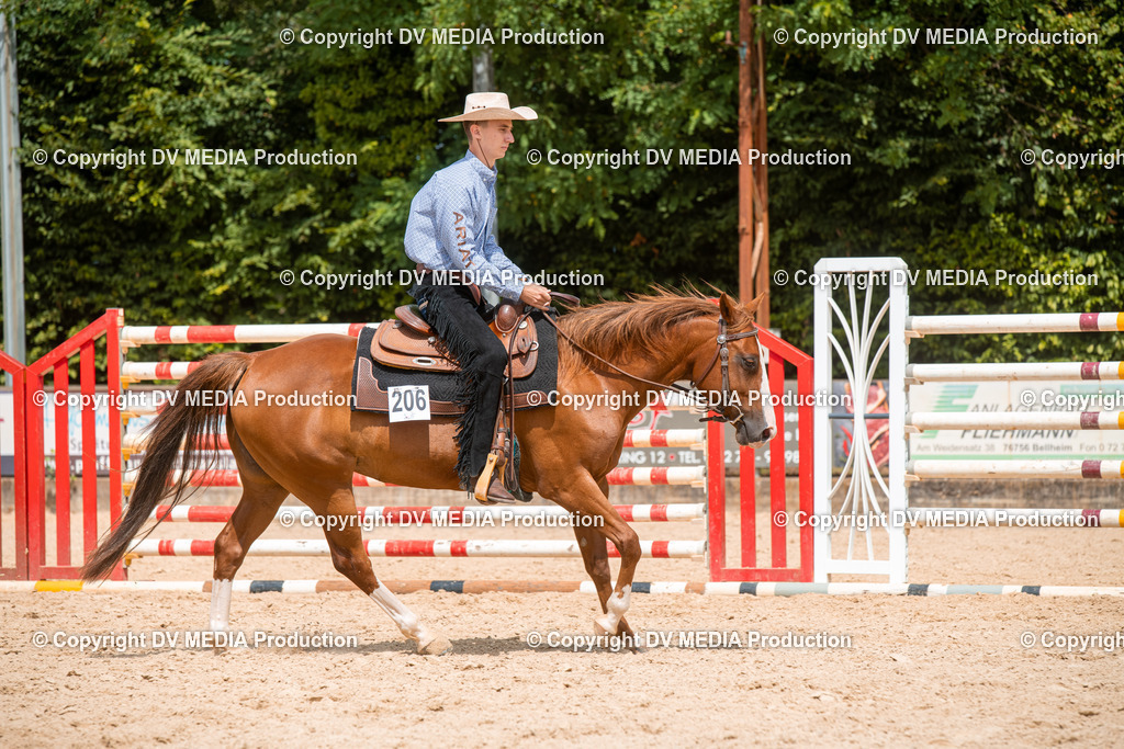 EWP_6155 | dv-media-shop - Realisiert mit Pictrs.com