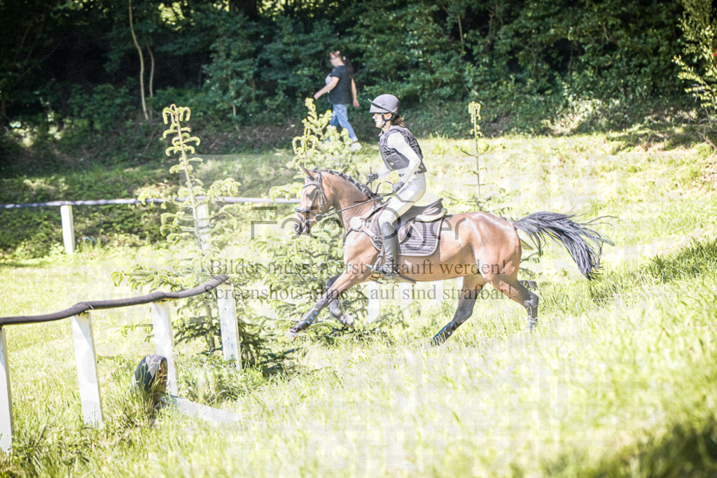 DOS_4000 | Entdecke hochwertige Reitturnierfotos von Foto Oger. Professionell, emotional und authentisch – jetzt Lieblingsmomente im Shop bestellen.Deutschlandweite Turnierfotografie. - Realisiert mit Pictrs.com